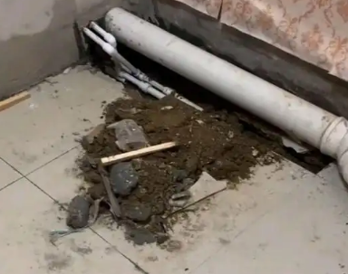 荣昌卫生间漏水检测哪家好
